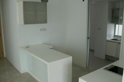 One Amber (D15), Condominium #333260091
